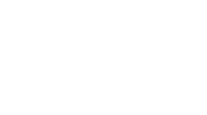 Parthenon Wholesale logo